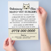 Cream Cat, Veterinary, Veterinary Service Flyer (Hand)