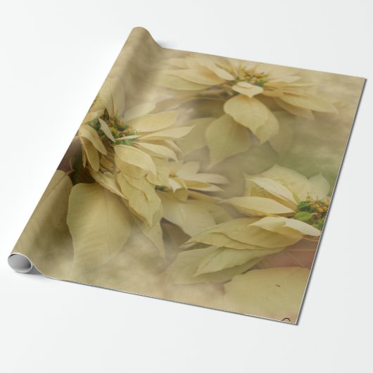 Cream Colored Poinsettias Digital Art Cadeaupapier (Uitgerold)