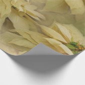 Cream Colored Poinsettias Digital Art Cadeaupapier (Hoek)