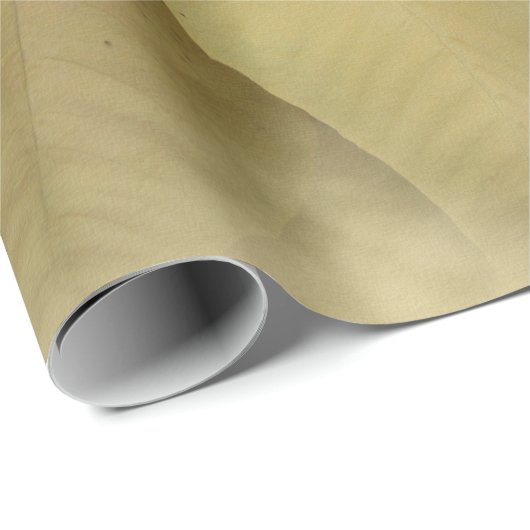 Cream Colored Poinsettias Digital Art Cadeaupapier (Rol Hoek)