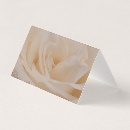 Cream Colored Roos Closeup Kaart (Voorkant)