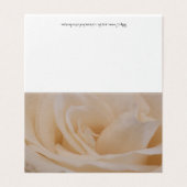 Cream Colored Roos Closeup Kaart (Buitenkant ongevouwen)