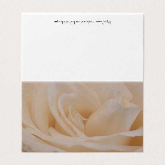 Cream Colored Roos Closeup Kaart (Buitenkant ongevouwen)