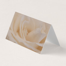 Cream Colored Roos Closeup Kaart