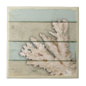 Cream Colour Coral Tegeltje (Voorkant)