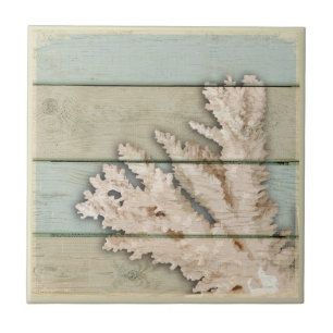 Cream Colour Coral Tegeltje