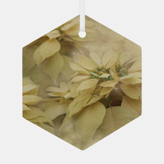 Cream Colour Poinsettias Digital Art Glass Glas Ornament (Achterkant)