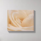 Cream Colour Roos Closeup Canvas Afdruk (Voorkant)