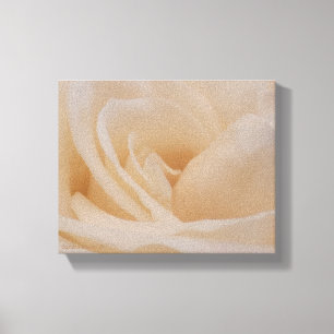 Cream Colour Roos Closeup Canvas Afdruk