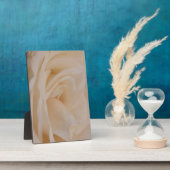 Cream Colour Roos Closeup Fotoplaat (Zijkant)