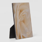 Cream Colour Roos Closeup Fotoplaat (Zijkant)