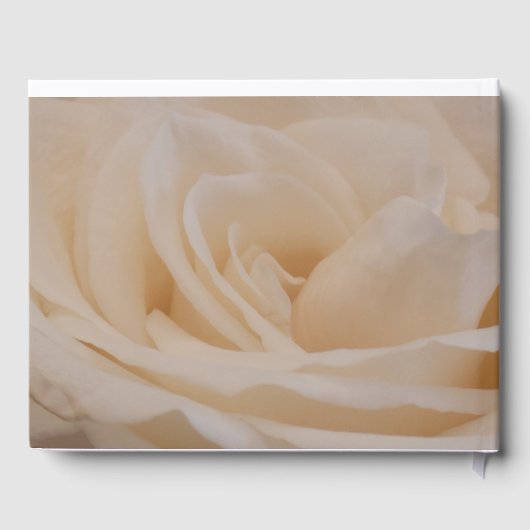 Cream Colour Roos Closeup Gastenboek (Achterkant)