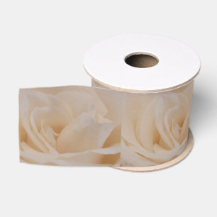 Cream Colour Roos Closeup Grosgrain Lint
