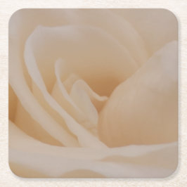 Cream Colour Roos Closeup Kartonnen Onderzetters