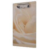 Cream Colour Roos Closeup Klembord (Links)