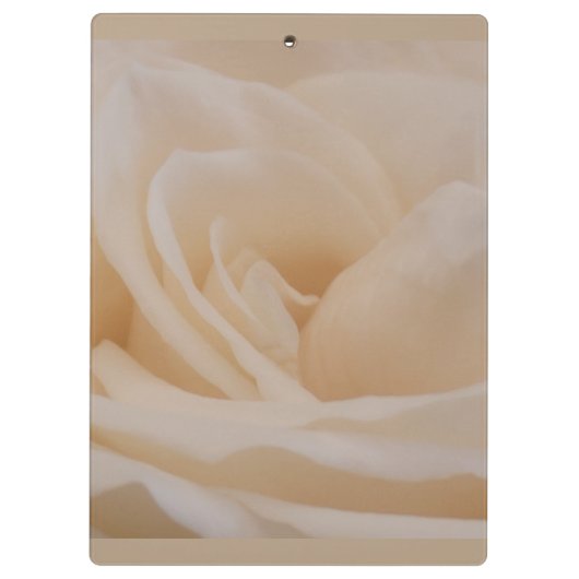 Cream Colour Roos Closeup Klembord (Achterkant)