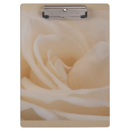 Cream Colour Roos Closeup Klembord