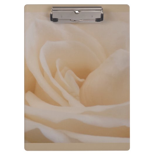 Cream Colour Roos Closeup Klembord (Voorkant)