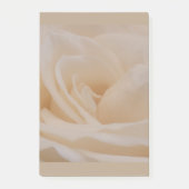 Cream Colour Roos Closeup Post-it® Notes (Voorkant)