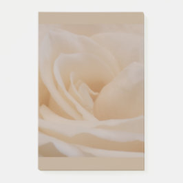 Cream Colour Roos Closeup Post-it® Notes