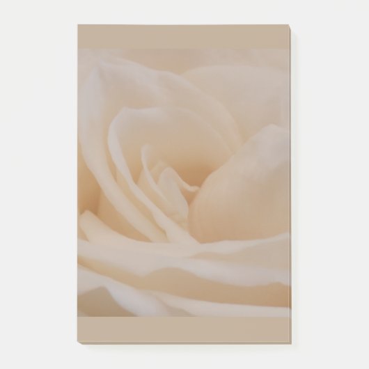 Cream Colour Roos Closeup Post-it® Notes (Voorkant)