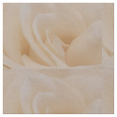 Cream Colour Roos Closeup Stof (Close Up)
