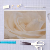 Cream Colour Roos Closeup Tissuepapier (Craft)