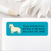 Cream French Bulldog,  Blue Etiket (Insitu)