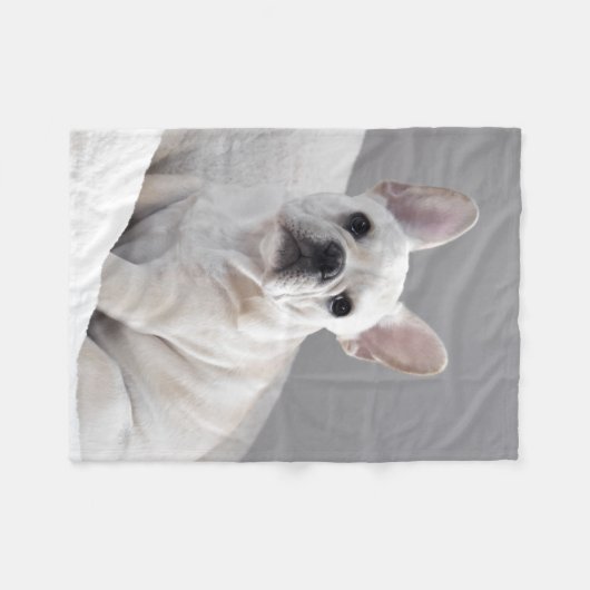 Cream Frenchie Blanket Fleece Deken (Voorkant (Horizontaal))