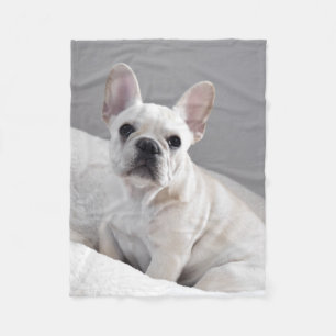 Cream Frenchie Blanket Fleece Deken