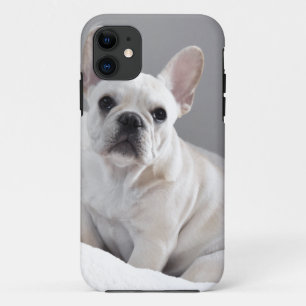 Cream Frenchie Case-Mate iPhone Case