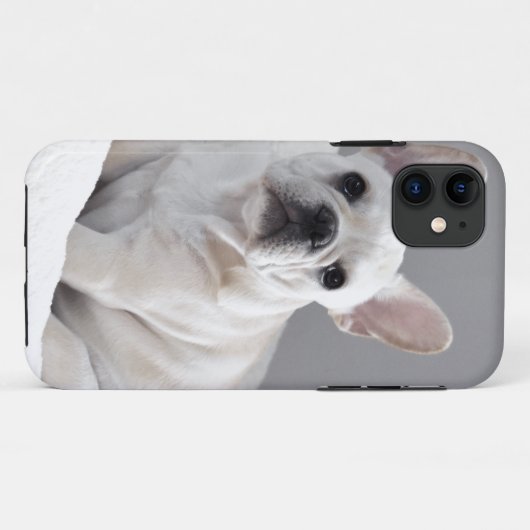 Cream Frenchie Case-Mate iPhone Case (Achterkant (horizontaal))