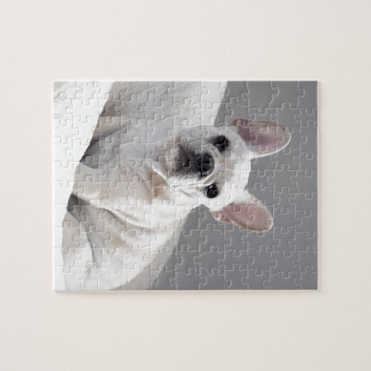 Cream Frenchie Legpuzzel (Horizontaal)