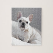 Cream Frenchie Legpuzzel (Verticaal)