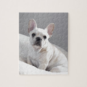 Cream Frenchie Legpuzzel