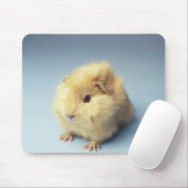 Cream-gekleurd cavia muismat (Met muis)