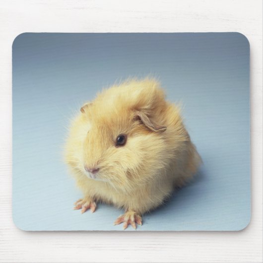 Cream-gekleurd cavia muismat (Voorkant)