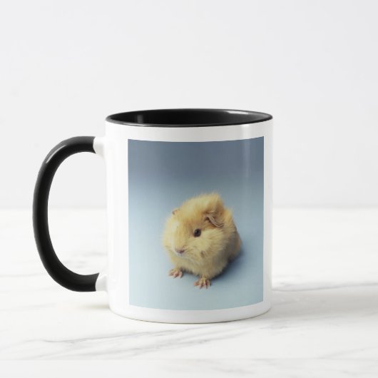 Cream-gekleurde Guinese varken Mok (Links)