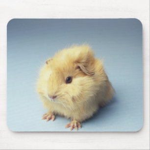 Cream-gekleurde Guinese varken Muismat