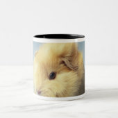 Cream-gekleurde Guinese varken Tweekleurige Koffiemok (Center)