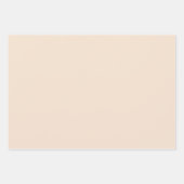 Cream Gold Faux Glitter Zebra Inpakpapier Vel (Voorkant 2)