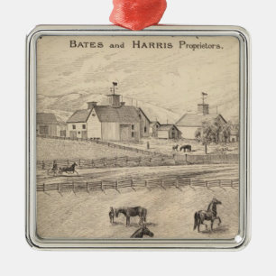 Cream Hill Stock Boerderij in Shoreham Vermont Metalen Ornament