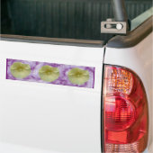 Cream Hollyhock-Bumpersticker Bumpersticker (Op Truck)