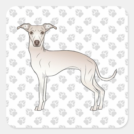 Cream Italiaanse Greyhound Cute Cartoon Dog met po Vierkante Sticker (Voorkant)