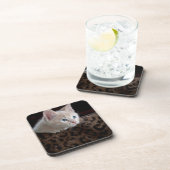 Cream Kitten met mooie blauwe ogen Bier Onderzetter (Rechterzijde)