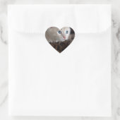 Cream Kitten met mooie blauwe ogen Hart Sticker (Tas)