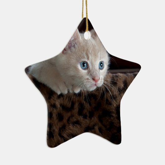 Cream Kitten met mooie blauwe ogen Keramisch Ornament (Rechts)