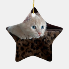 Cream Kitten met mooie blauwe ogen Keramisch Ornament