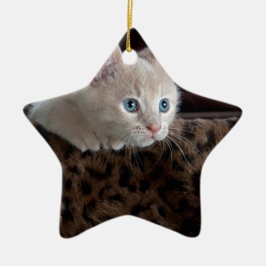 Cream Kitten met mooie blauwe ogen Keramisch Ornament (Voorkant)