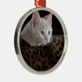 Cream Kitten met mooie blauwe ogen Metalen Ornament (Rechts)